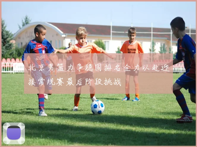 北京男篮力争稳固排名全力以赴迎接常规赛最后阶段挑战